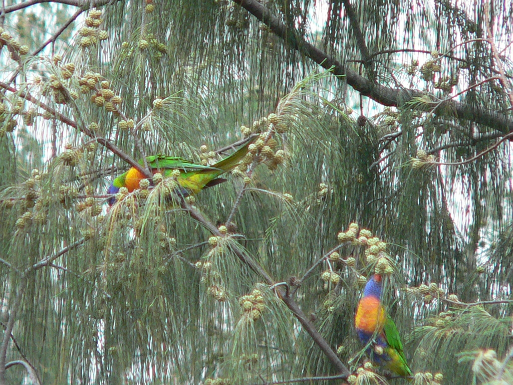 052 Port Douglas.jpg
